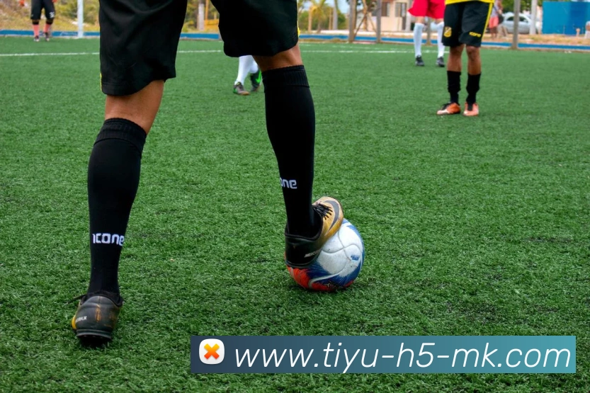 MK体育平台生态图