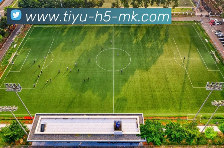 MK体育APP 封面图