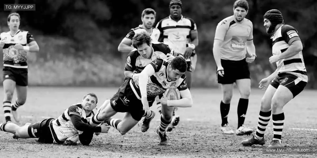 巅峰对决,见证荣耀时刻!🏆